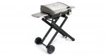 CGG-240 All Foods Roll-Away Gas Grill Cuisinart New