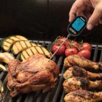 CGWM-070 Instant Read Digital Meat Thermometer Cuisinart New