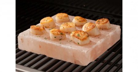 CSP-128 Himalayan Salt Grilling Stone Cuisinart New