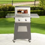 GAS0256AS 2 Burner Gas Grill Cuisinart New